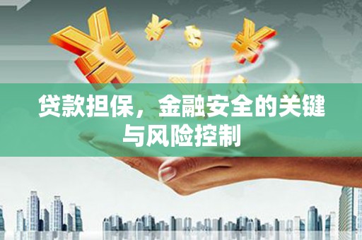 阳曲贷款担保，金融安全的关键与风险控制
