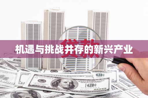 阳曲机遇与挑战并存的新兴产业