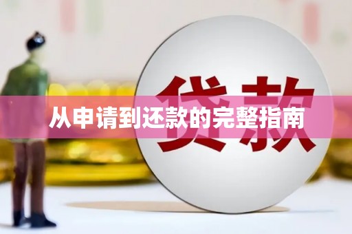 阳曲从申请到还款的完整指南
