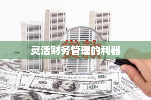 阳曲灵活财务管理的利器