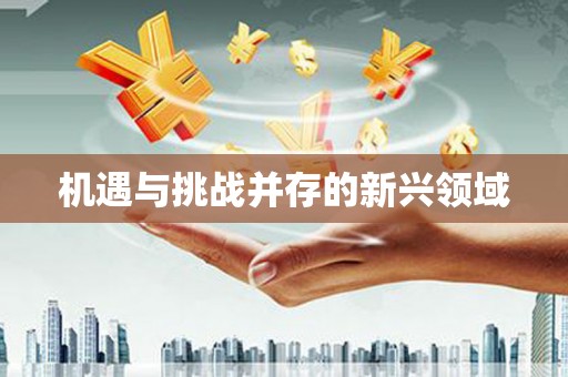 阳曲机遇与挑战并存的新兴领域