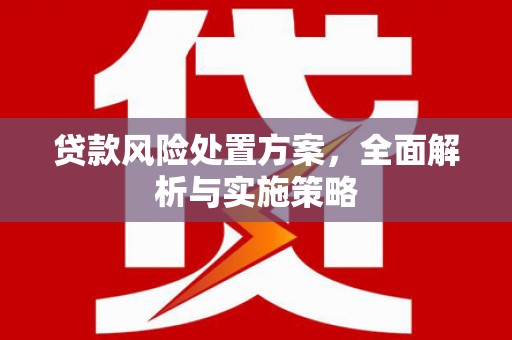 阳曲贷款风险处置方案，全面解析与实施策略