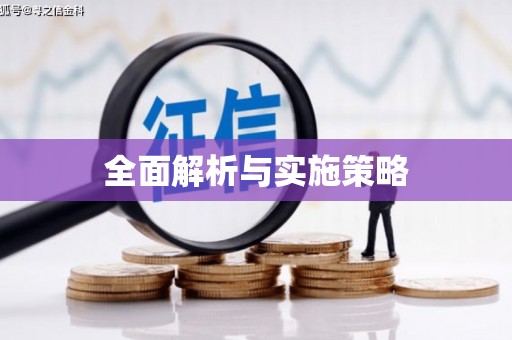 阳曲全面解析与实施策略