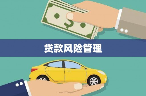 阳曲贷款风险管理