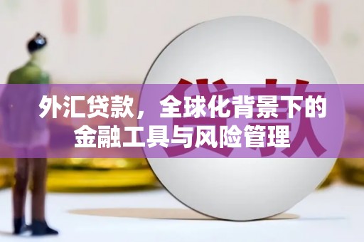 阳曲外汇贷款，全球化背景下的金融工具与风险管理