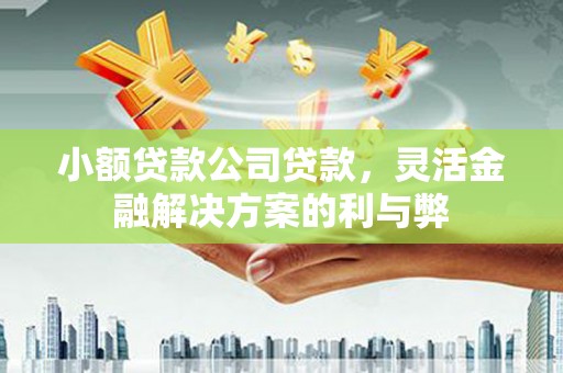 阳曲小额贷款公司贷款，灵活金融解决方案的利与弊
