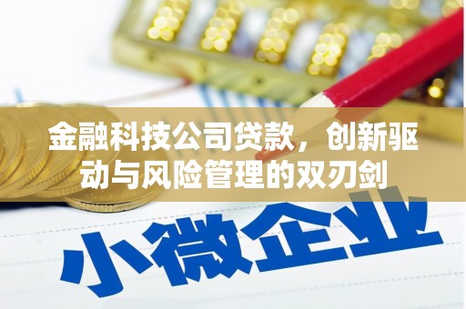 阳曲金融科技公司贷款，创新驱动与风险管理的双刃剑